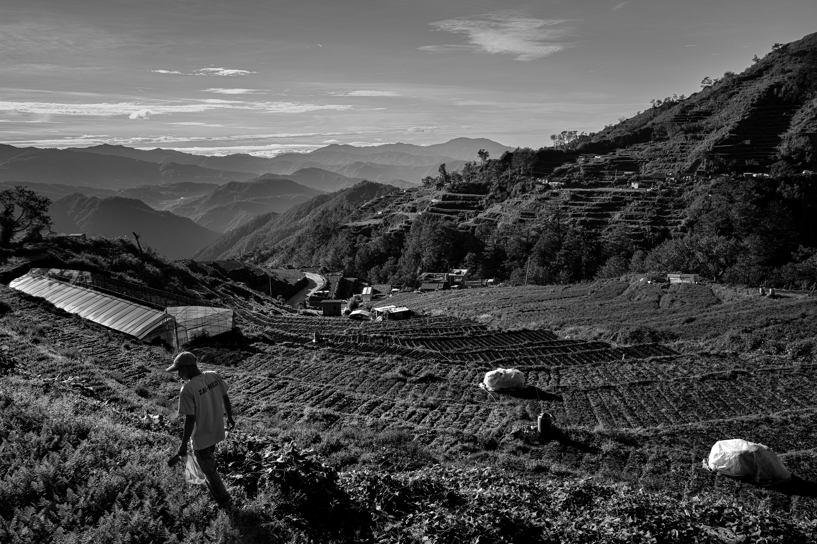 Vignettes of Life with She Escobar